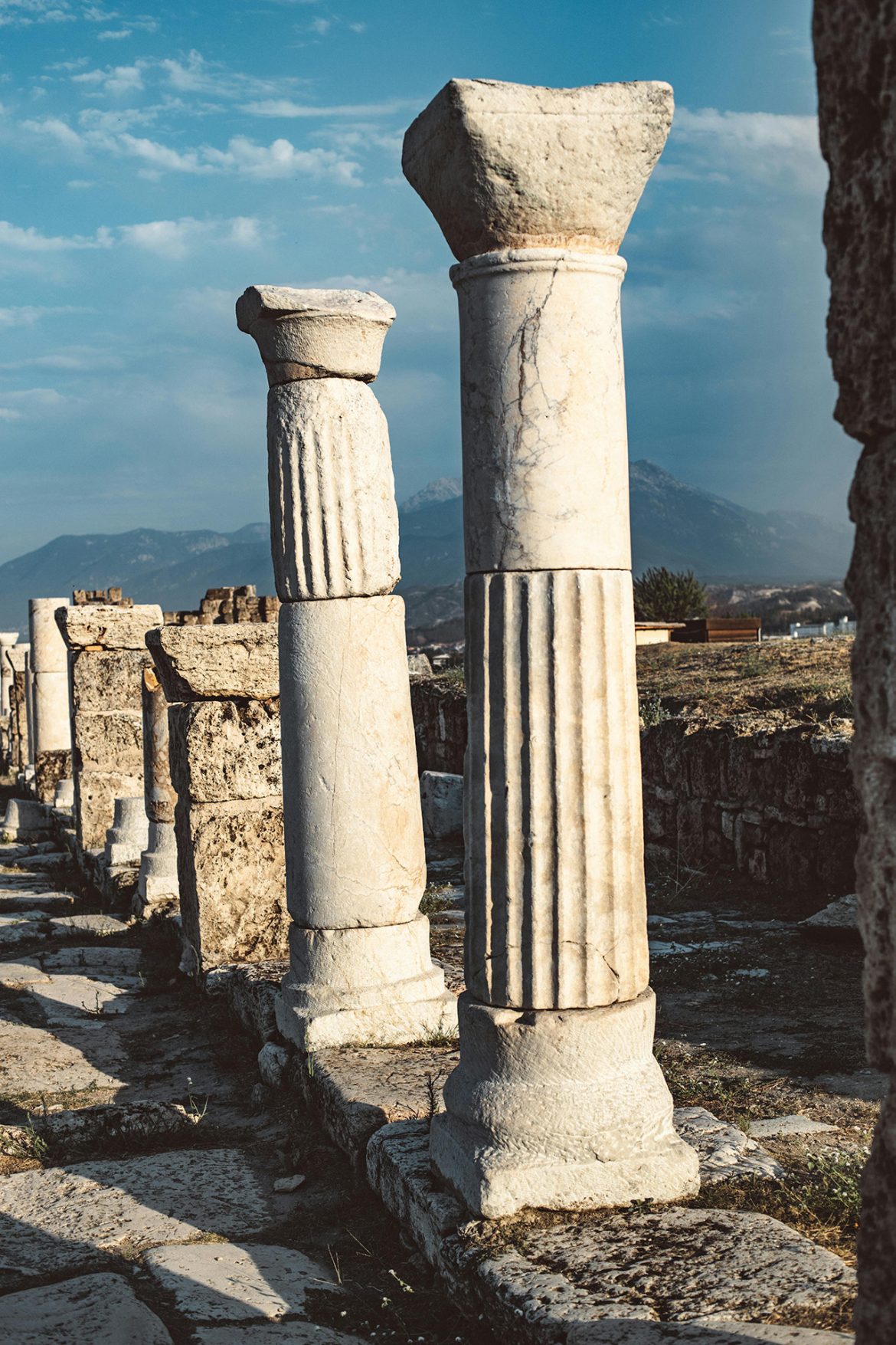 pexels-roman-odintsov-5319844